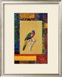 Australian Parrot Posters by Jaggu Prasad