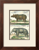 Elephant and Rhino Pair Posters by Daniel Diderot