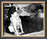 Jagger and His Friend Bow Prints
