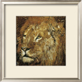 Lion Portrait Prints by Fabienne Arietti