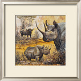 Safari I Art by Peter Blackwell