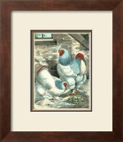 Modern Light Brahmas Art by J. W. Ludlow