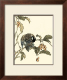 Oriental Bird on Branch IV Print