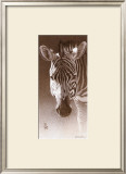 Grant, the Zebra Art by Robert L. Caldwell