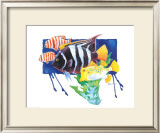 King Angel Fish Prints by Paul Brent