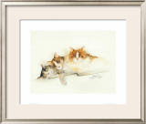Katzen Prints by Moser Dede