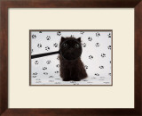 Lucky Kitten Posters por Xavier Chantrenne Lucky Kitten Posters por Xavier Chantrenne