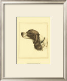 Danchin Cocker Spaniel Prints by Danchin 