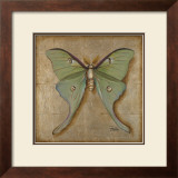Luna Moth Prints by Patricia Quintero-Pinto
