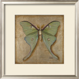 Luna Moth Posters by Patricia Quintero-Pinto
