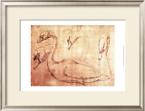 Sepia Swan Study Art by Jean-Baptiste Oudry