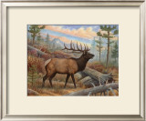 Elk Art