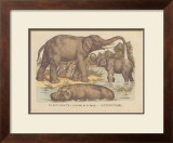 Animaux d'Afrique, Elephant Art