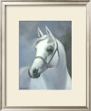Palomino Prints by Hussein Al Shikaki