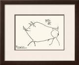 Pig Prints by Pablo Picasso