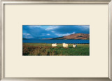 Isle of Skye Art by Thierry Martinez