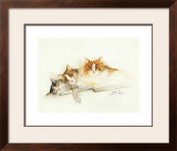 Katzen Print by Moser Dede