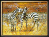 Zebras Poster by Joaquin Moragues