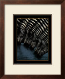 Zebra's Watering Hole Print by Dexter Griffin