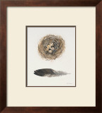 Field Study Nest Posters by Jurgen Gottschlag