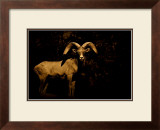 Western Ram Framed Giclee Print by Jim Tunell