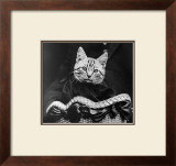 French Tabby Cat Prints by Mesh Gabriella