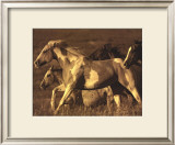 Like the Wind I Prints by Wendy Caro