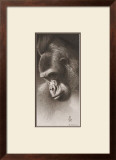 Silver Back, the Gorilla Prints by Robert L. Caldwell