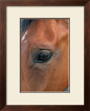 Looking Into the Horizon Prints by Antonia Illsley