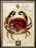 La Pince de la Mer Art by Sabine Gotzes