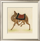Camel from India I Print by Ram Babu