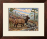 Elk Poster