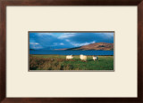 Isle of Skye Poster by Thierry Martinez