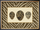 Speckled Variety I Posters by Henry Adams