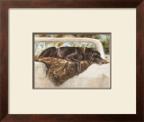 Pushed to the Limit Prints by Barbara Shipman