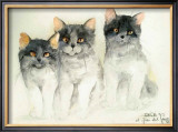 Katzen Prints by Moser Dede