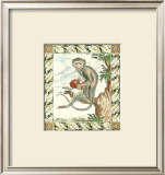 Rhesus Macaque Monkey Print by Georges-Louis Buffon