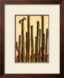 Mojave Prints by Robert Littleford