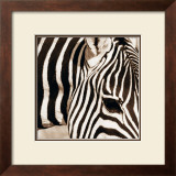Zebra Pattern Art by Frank & Susann Parker