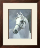 Palomino Posters by Hussein Al Shikaki
