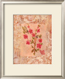 Butterflies and Blossoms III Posters por Lisa Ven Vertloh Butterflies and Blossoms III Posters por Lisa Ven Vertloh