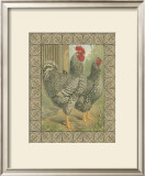 Roosters II Posters by Cassell's Poultry Book 
