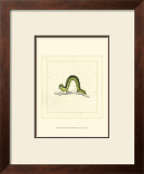 Green Inchworm Prints