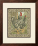 Roosters II Prints by Cassell's Poultry Book 