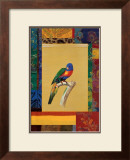 Australian Parrot Prints by Jaggu Prasad