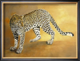 Leopard de Seronera Posters by Danielle Beck