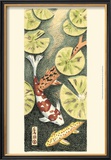 Koi Pond I Art by Chariklia Zarris