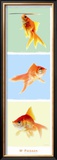 Mr Poisson Prints by Guillaume Plisson