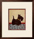 Scottish Terrier Poster by Lanny Barnard