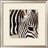 Zebra Pattern Posters by Frank & Susann Parker